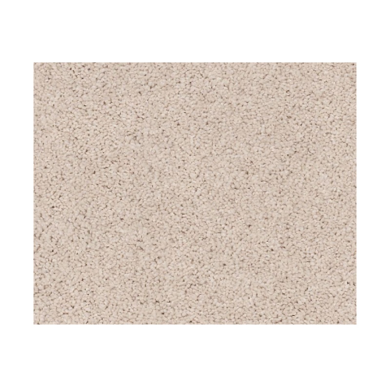 Castle PV III Blush Nylon Carpet - Textured