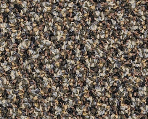 Loud & Clear Speak Easy Low Key Nylon Carpet - Loop