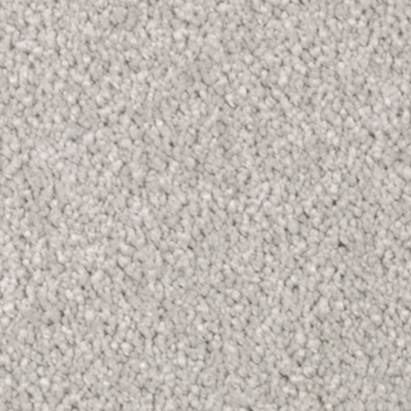 Natural Splendor I Raindrop Triexta Carpet - Textured