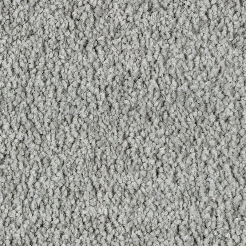 Exquisite Attraction Antiqued Silver Triexta Carpet - Textured