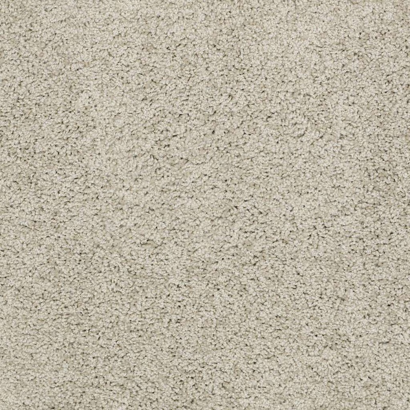 Soft Shades My Choice I Cityscape Nylon Carpet - Textured