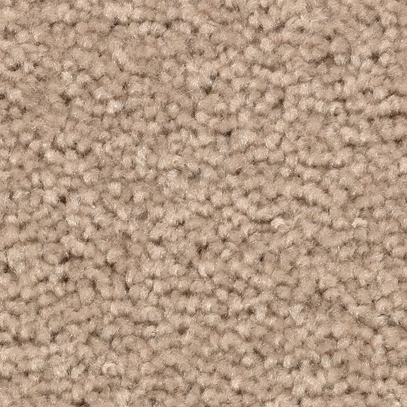 Treasure Valley Autumn Ash Polyester Carpet - Textured