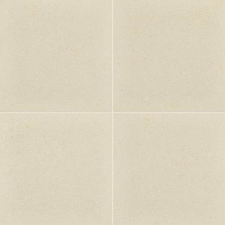 Anchorage Beige Porcelain Tile - Polished - 24" x 24"