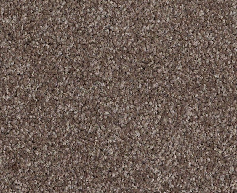 Anso Open I (S) Rustic Taupe Nylon Carpet