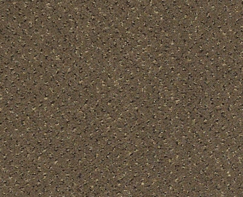 Future Generations Gray Taupe Nylon Carpet - Textured