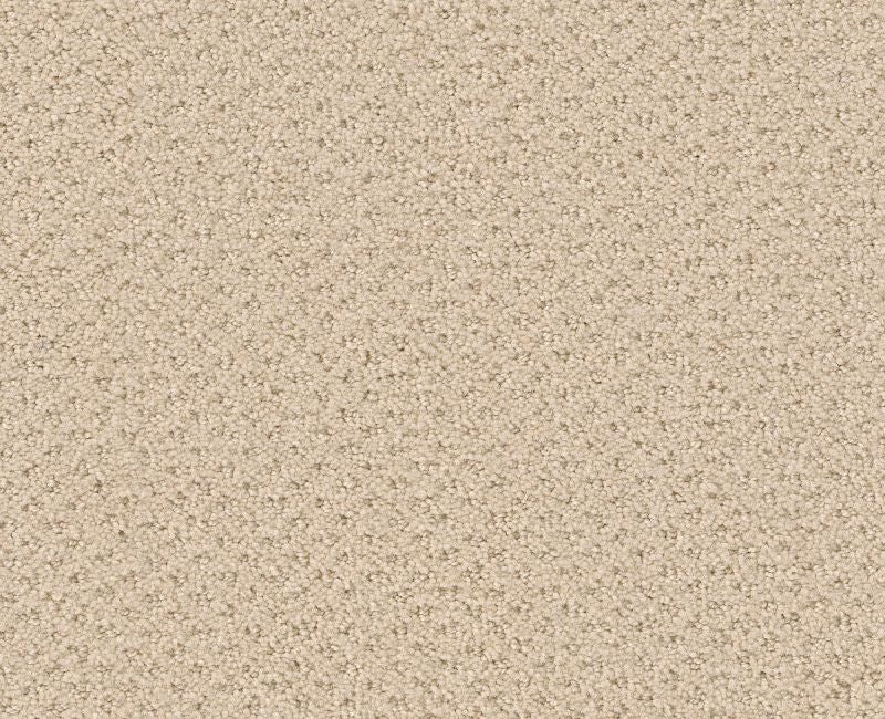 Meaningful Design Winter White Nylon Carpet - Loop