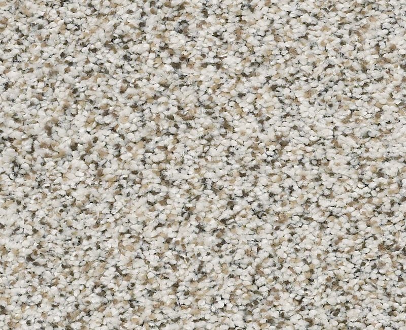 Mixed Elegance Iii Snowbound Nylon Carpet - Pattern