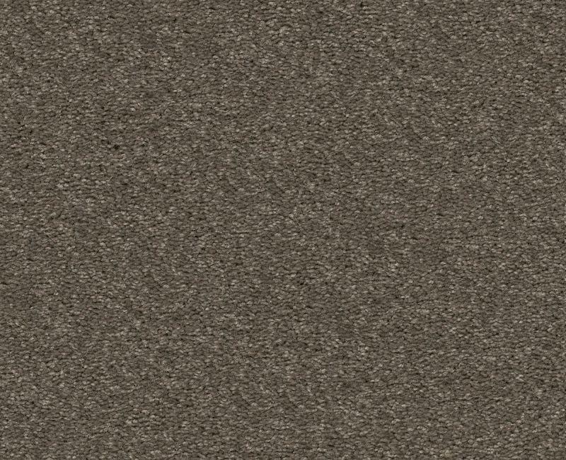 Finders Keepers Urban Loft Polyester Carpet - Loop