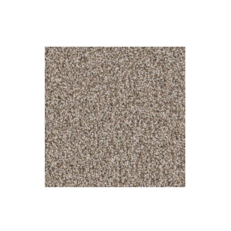 Artistic Fusion I Soft Sense Polyester Carpet - Textured