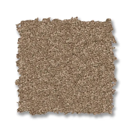 Enduring Charm Latte Nylon Carpet - Textured