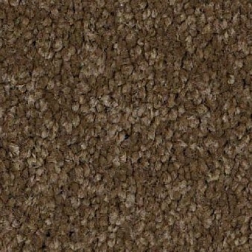 Murphy Derby Brown Nylon Carpet - Textured