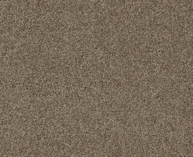 Detailed Elegance Ii Cappuccino Nylon Carpet - Loop
