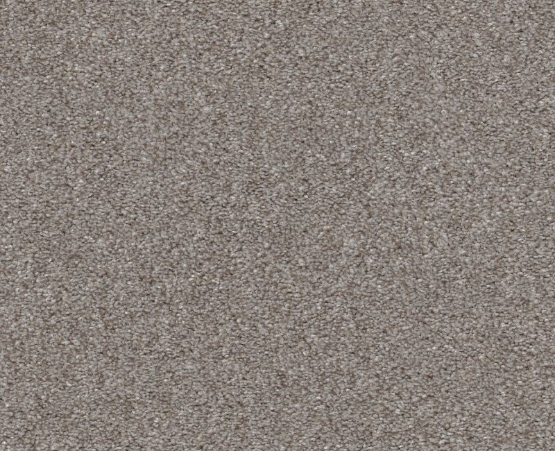 Finders Keepers Clay Polyester Carpet - Loop