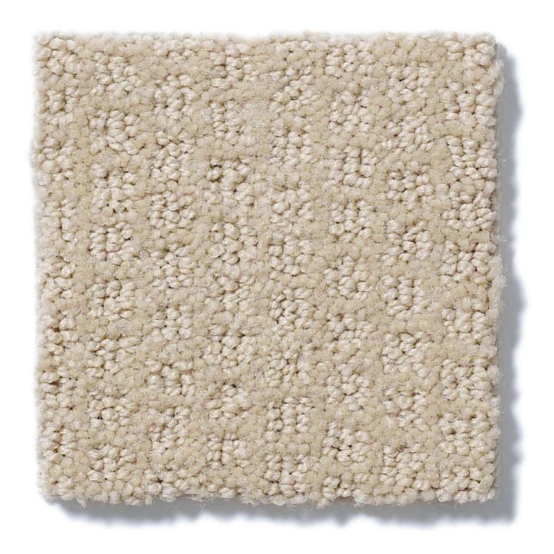 Simply The Best Pacific Trails Agate Nylon Carpet - Pattern