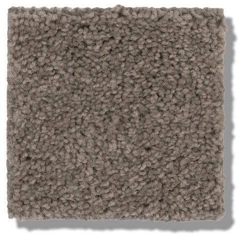 Secretly Iron Gate Nylon Carpet - Textured