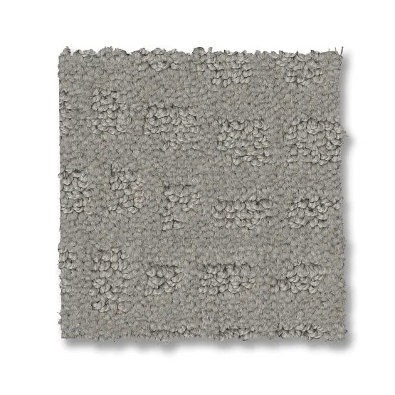 Reawaken Solstice Silver Fox Nylon Carpet - Loop