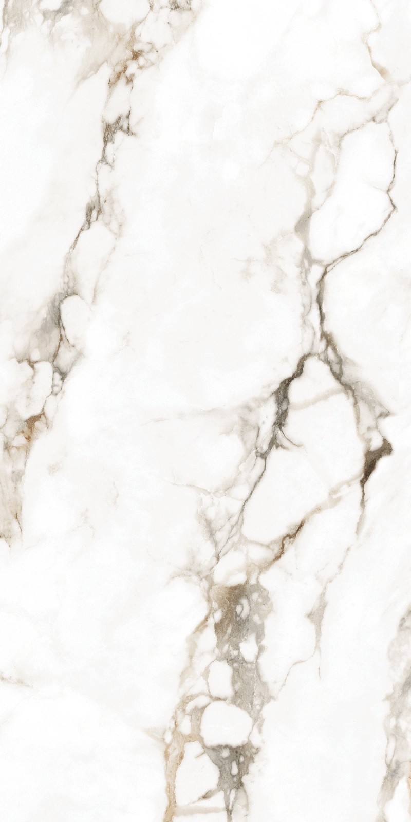 Lenox Calacatta White Polished Porcelain Tile