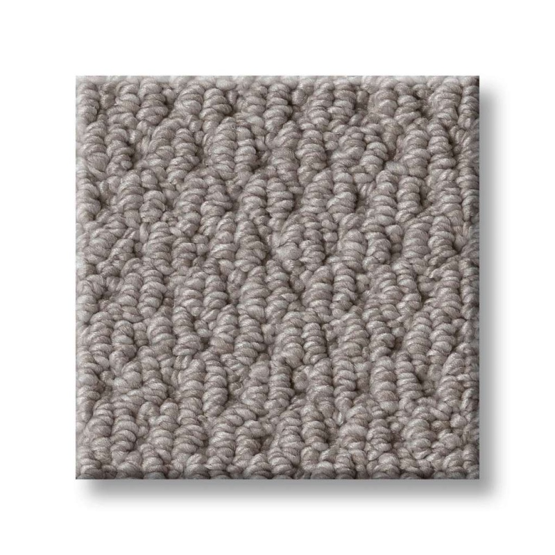 Foundations Naturalistic Grey Fox Nylon Carpet - Loop