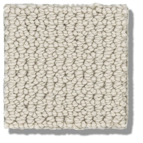 Pet Perfect Purrfection Olympic Nylon Carpet - Loop