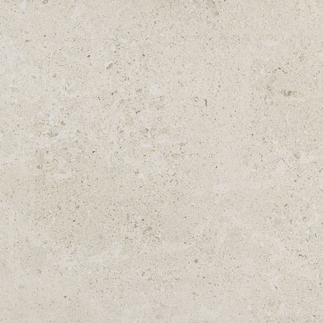 Dignitary Luminary White Porcelain Tile - Matte