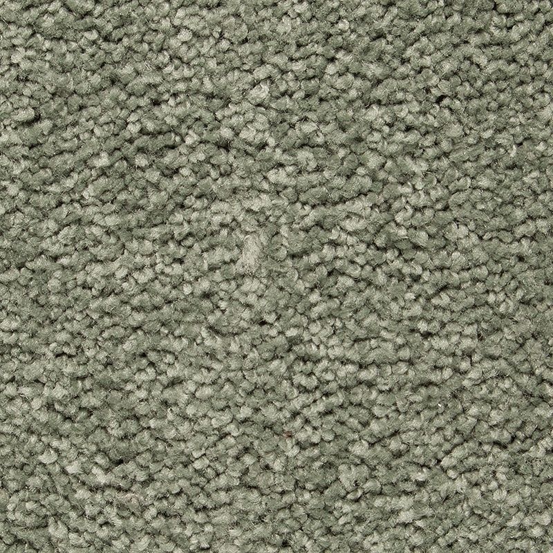 Pleasant Touch Spring Spirits Triexta Carpet - Textured
