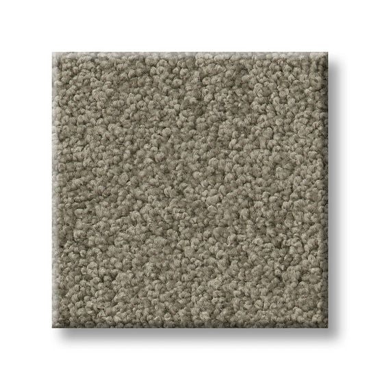 Serendipity I Wild Dove Nylon Carpet - Textured