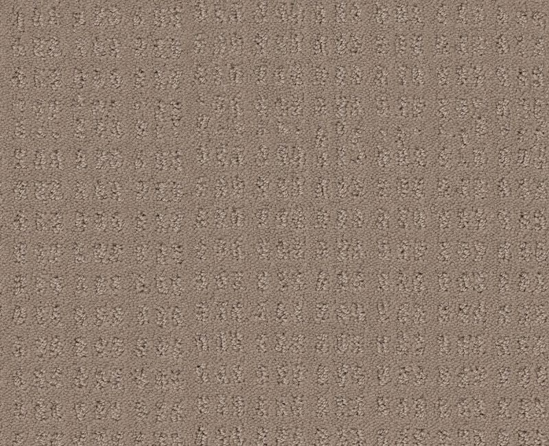 Now Or Never Desert View Nylon Carpet - Loop