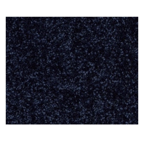 North Shore Ii Evening Sky Polyester Carpet - Textured