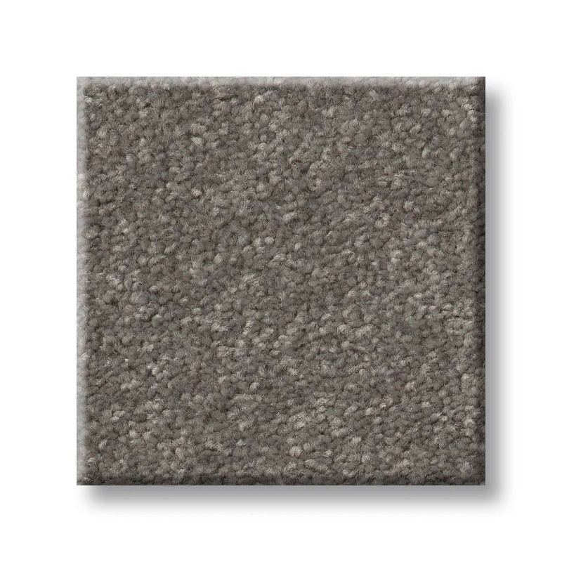 Pet Perfect Hard At Play II 12' Ashes Polyester Carpet