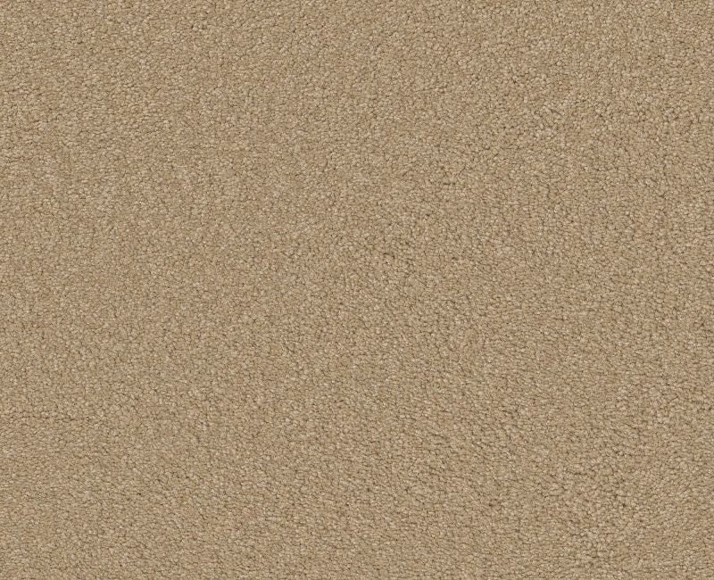 Qs580 Antique White Nylon Carpet - Textured