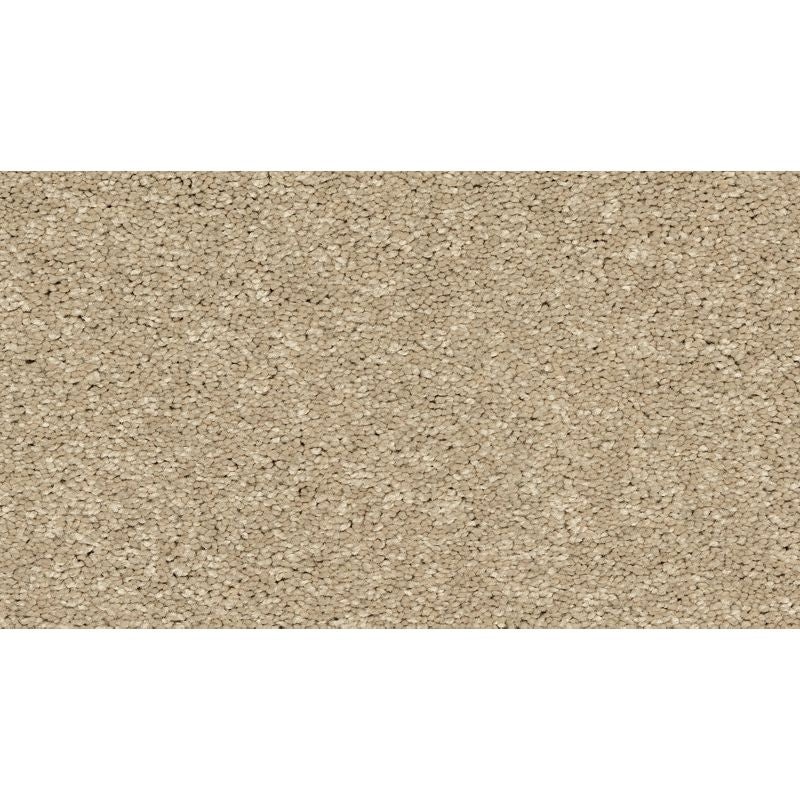 Modern Story III Gold Coast Polyester Carpet - Textured