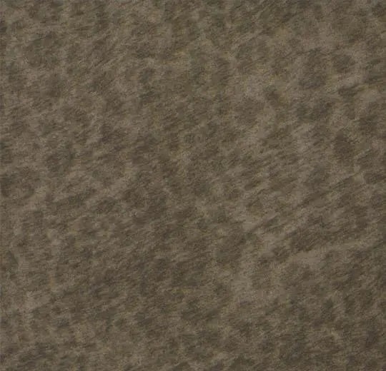 Flotex Cleo Kitten Nylon Carpet Plank