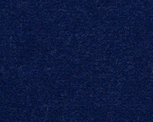 Emphatic Ii 30 Newport Nylon Carpet - Textured