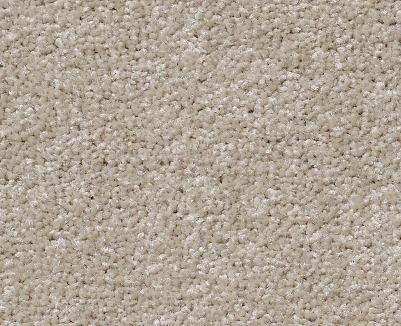 Great Choice Warm Glow Nylon Carpet - Textured