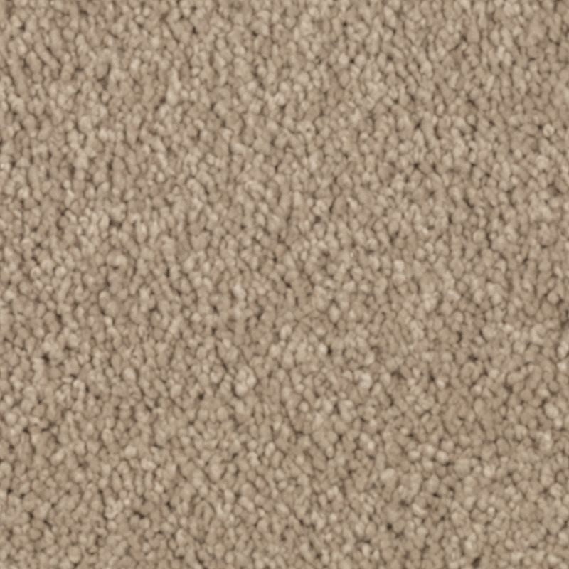 Natural Splendor I Hearth Beige Triexta Carpet - Textured