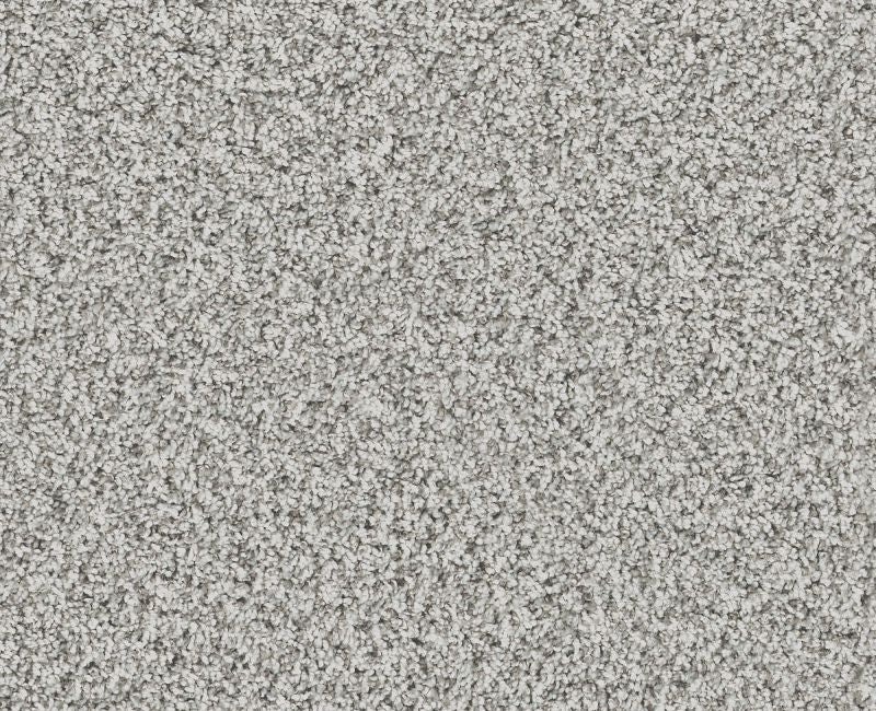 Artsy I Frozen Polyester Carpet - Textured