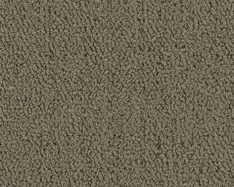 Color Accents Bl Taupe Nylon Carpet - Loop