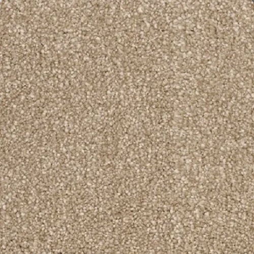 Magic Moment II Mocha Polyester Carpet - Textured