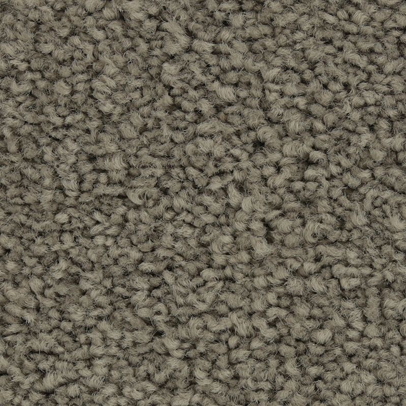 Coastal Fashion Ii Dolphin Nylon Carpet - Textured