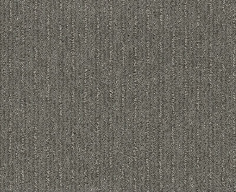 Well Informed Metal Nylon Carpet - Textured