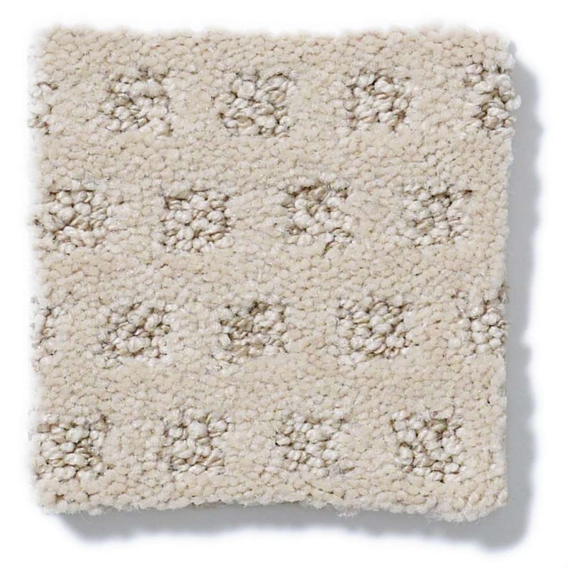 Caress By Shaw My Expression Amarillo Nylon Carpet