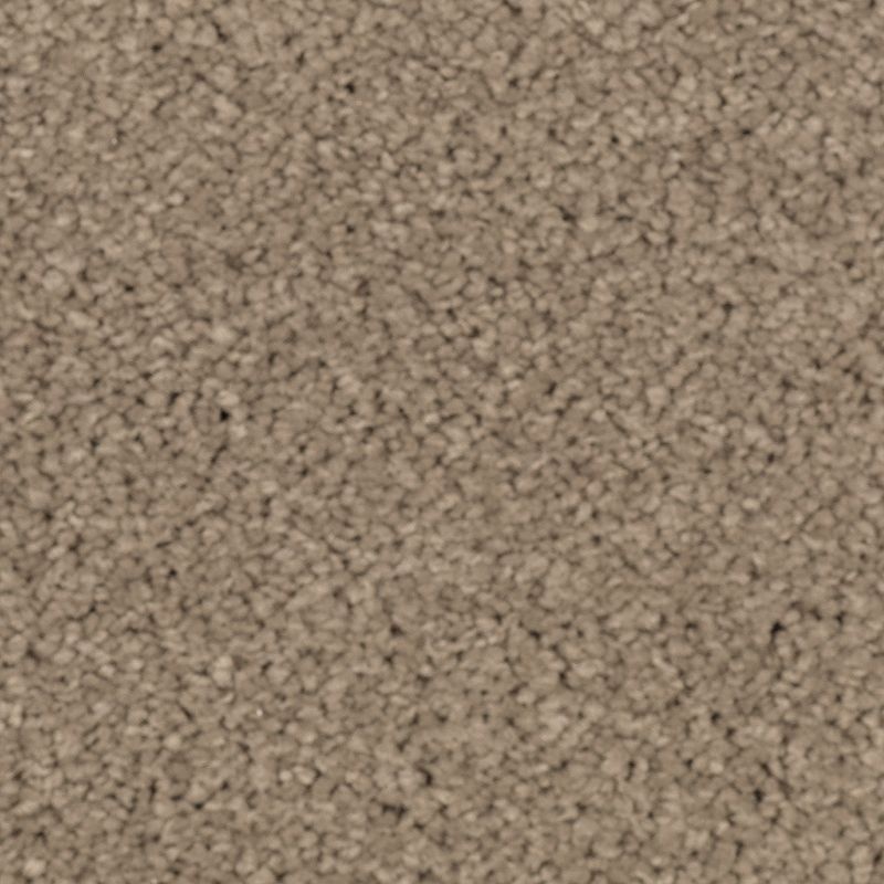 Natural Splendor I Urban Taupe Triexta Carpet - Textured