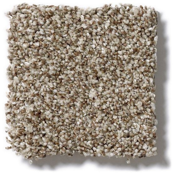 Pet Perfect Oliver's Twist Wood Smoke Nylon Carpet - Textured