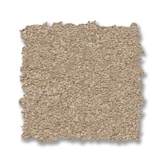 Elegant Beauty Transparent Nylon Carpet - Textured
