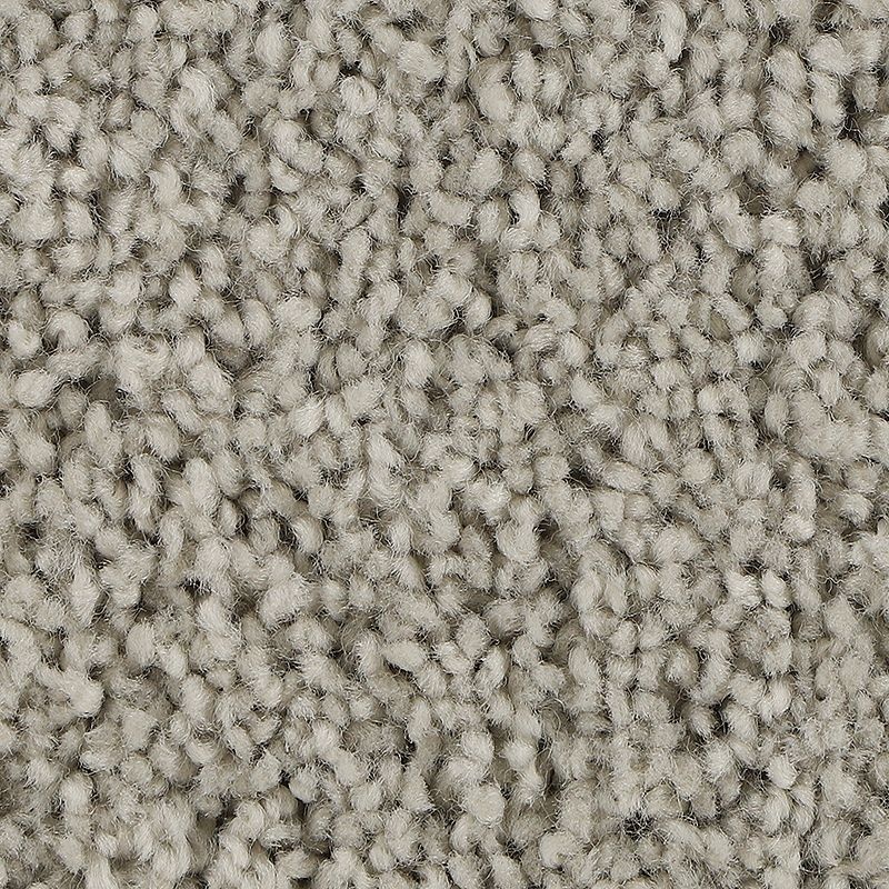 Soft Outlook Classic Silver Polyester Carpet - Textured
