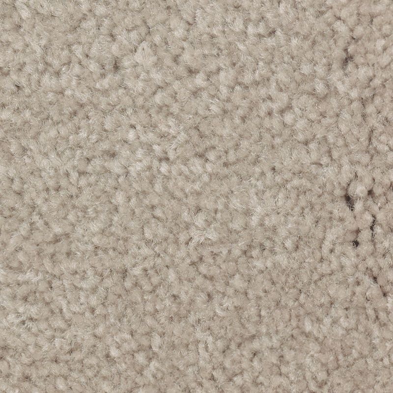 Homefront III Tahoe Taupe Triexta Carpet - Textured