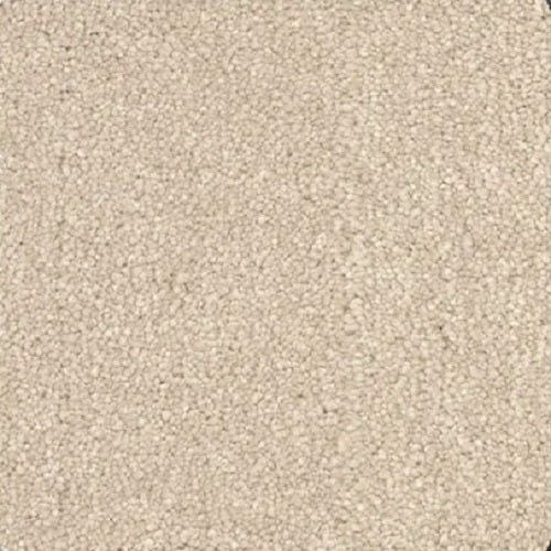 Momentum Ii Coastal Polyester Carpet - Textured