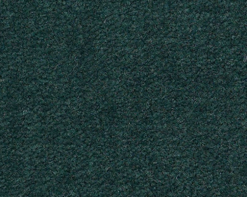 Emphatic II 36 Capri Nylon Carpet - Textured