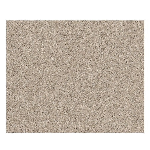 Sweet Inspiration I Net Scone Nylon Carpet - Textured