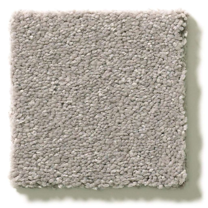 Simply The Best Momentum I Canopy Polyester Carpet - Textured